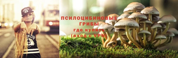 a pvp Зеленодольск