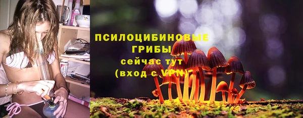 бутират Инсар