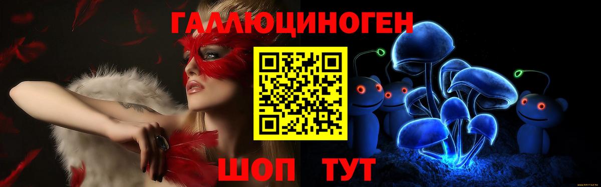 Галлюциногенные грибы Psilocybine cubensis Ижевск